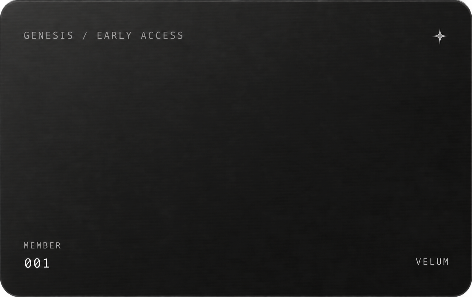 VELUM payment card